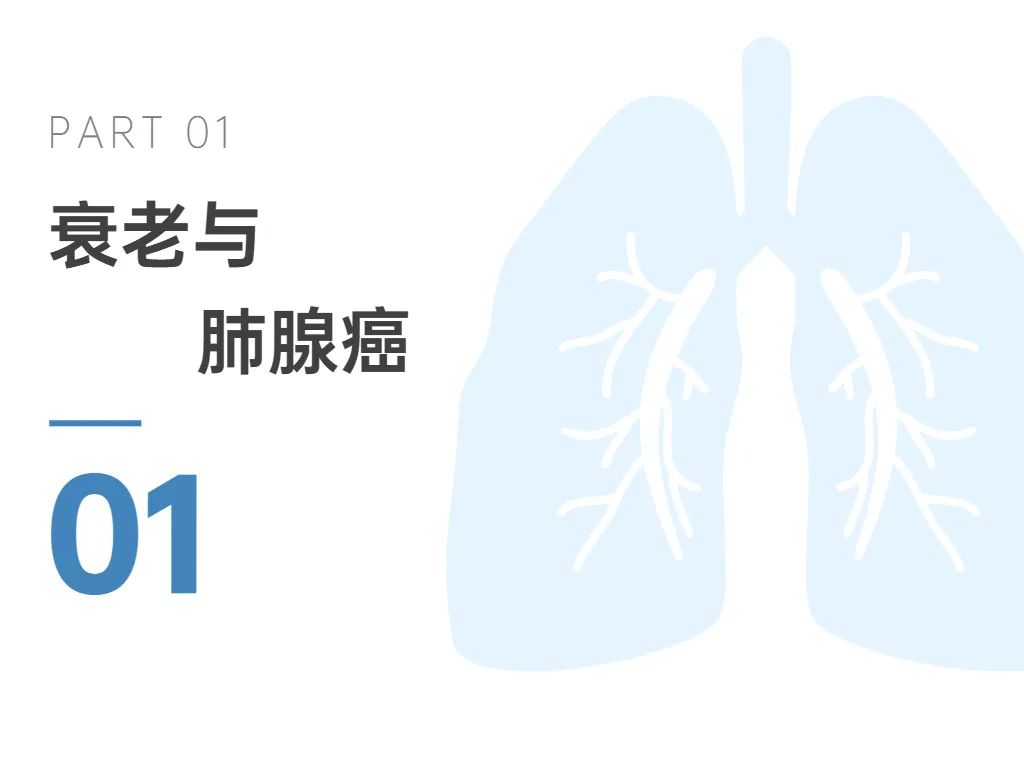 古特生物 古特生物