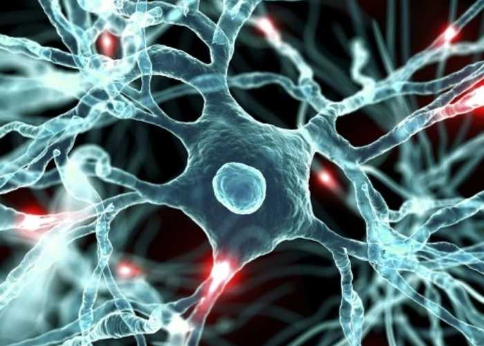 古特生物 古特生物