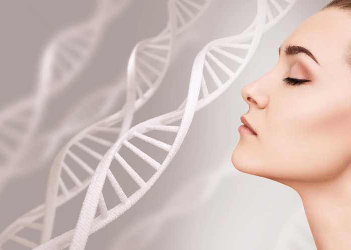 古特生物 皮膚老化