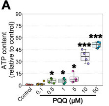 古特生物 PQQ給藥對(duì)體外ATP的影響