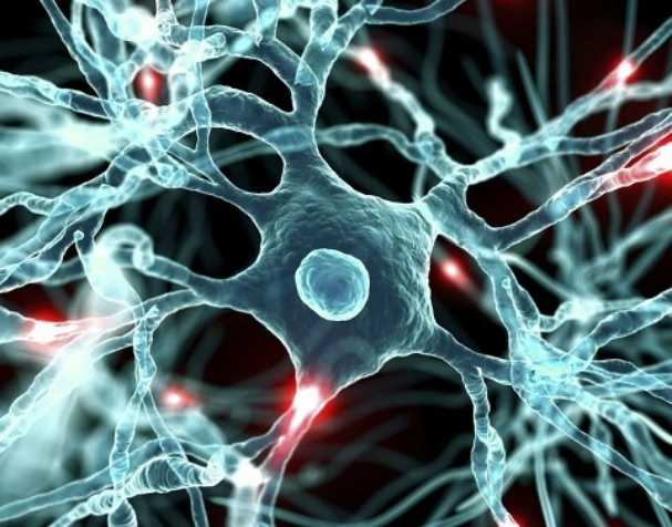 NAD促進神經(jīng)健康