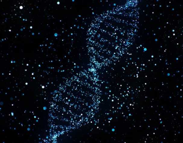 古特生物 煙酰胺核糖氯化物有什么優(yōu)勢?