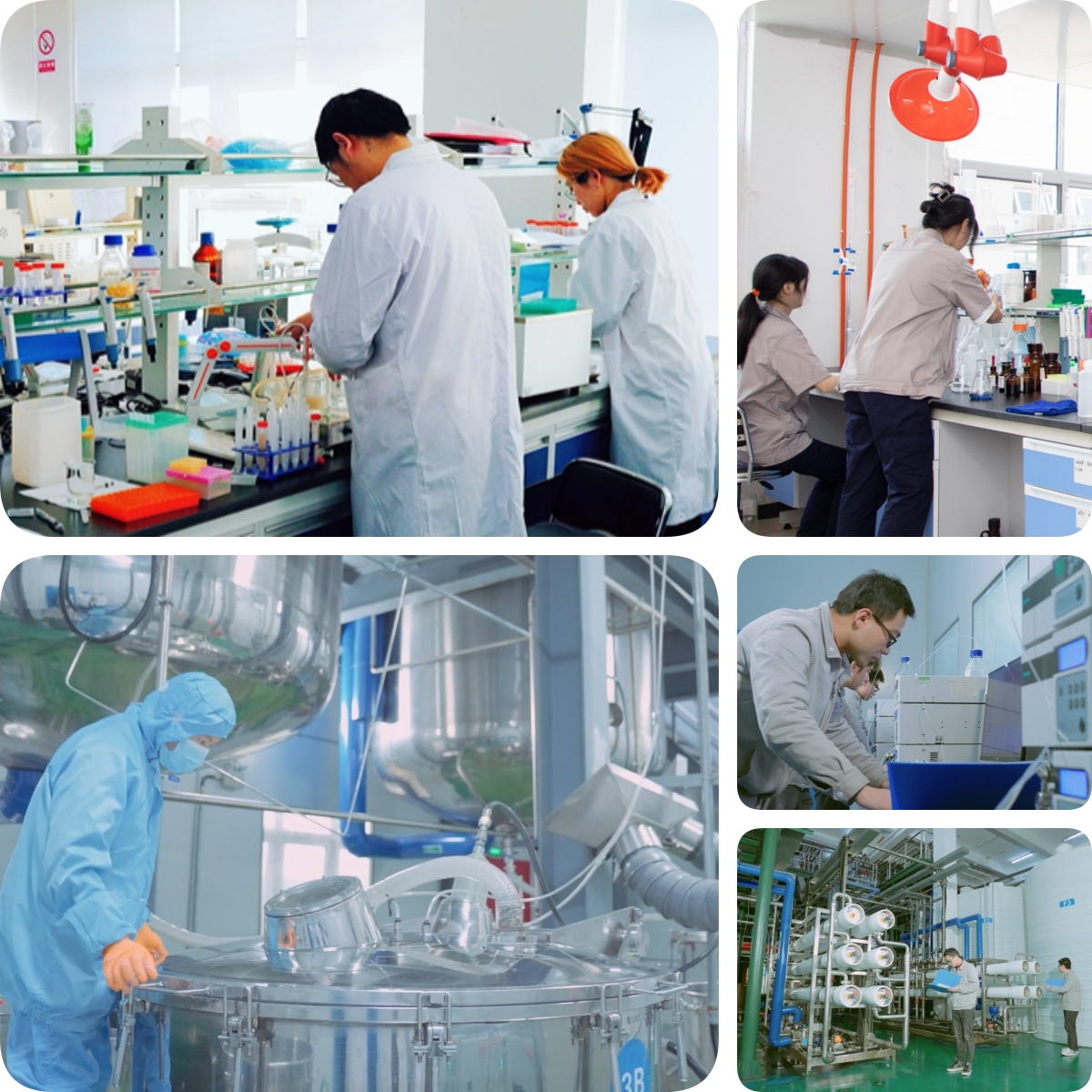 谷胱甘肽是怎么生產的？