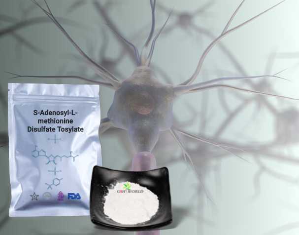 SAMe對神經健康的作用 SAMe對神經健康的作用