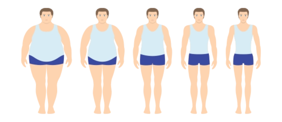 抗氧化補(bǔ)充劑通過(guò)多重機(jī)制影響脂肪組織 抗氧化補(bǔ)充劑通過(guò)多重機(jī)制影響脂肪組織