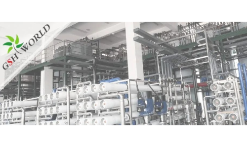 企業(yè)動態(tài) - 安慶市區(qū)領導對古特生物的生產(chǎn)發(fā)展給予充分肯定