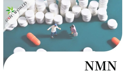 NMN(煙酰胺單核苷酸)的適用人群