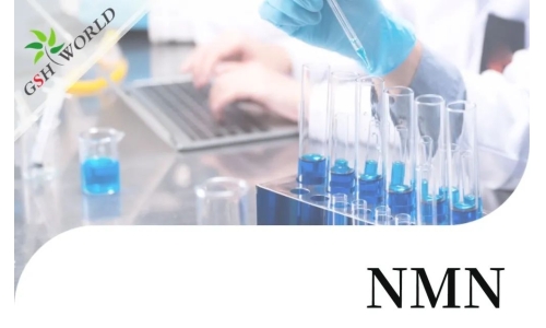行業(yè)關(guān)注 - NMN最新研究進展