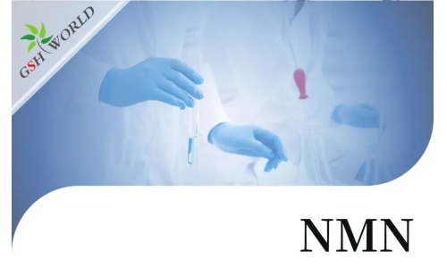 行業(yè)關(guān)注 - NMN的保健功能與最新研究進展