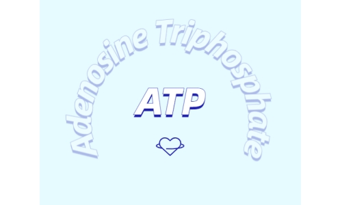 ATP補充劑對運動有什么益處？