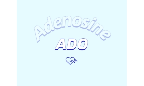 腺苷如何抗皮膚衰老？