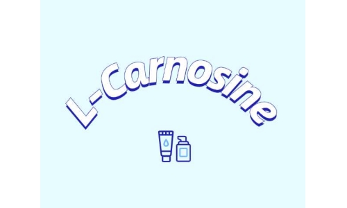 L-肌肽有什么應(yīng)用？