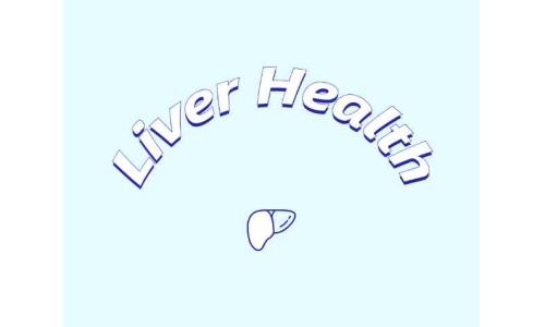 哪些原料可助力肝臟健康？