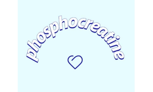 認(rèn)識(shí)一下磷酸肌酸鈉